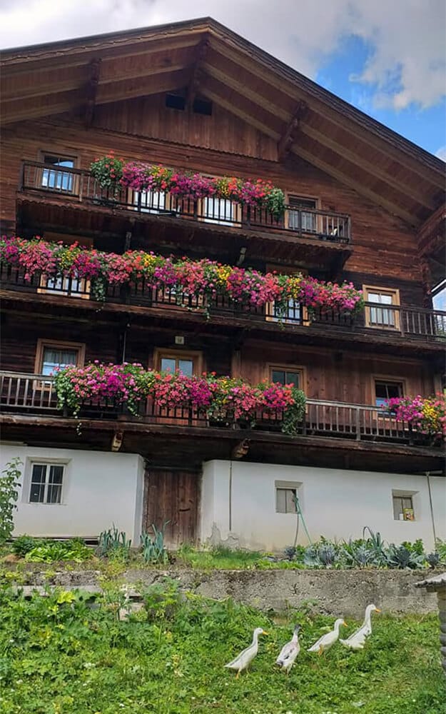 Ledererhof Tirol